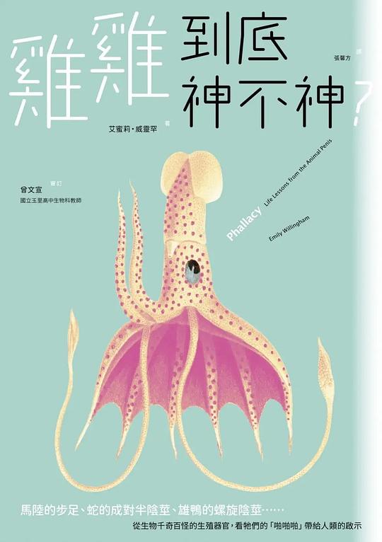 雞雞到底神不神?