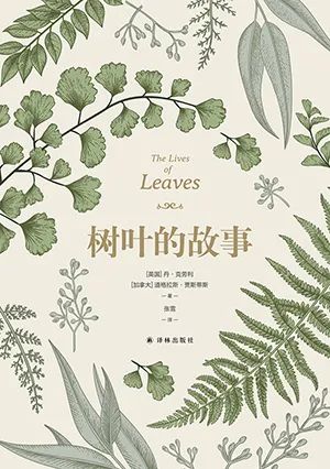 树叶的故事
