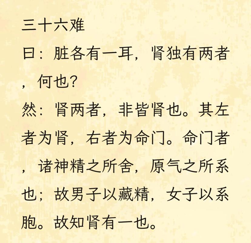 难经18讲