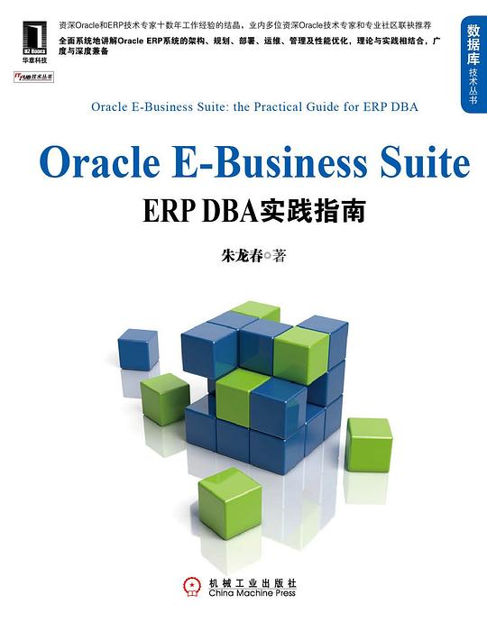 Oracle E-Business Suite:ERP DBA实践指南