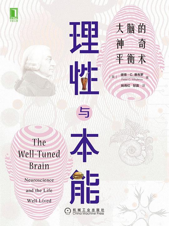 理性与本能:大脑的神奇平衡术