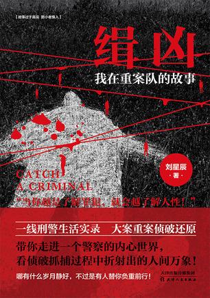 缉凶:我在重案队的故事