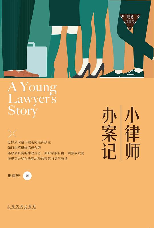 小律师办案记(职场浮世绘)