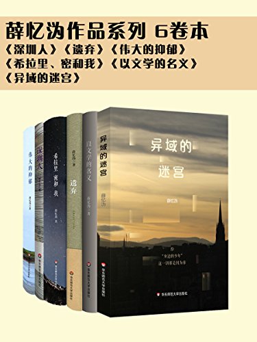 薛忆沩作品(共6册)
